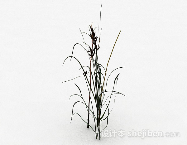 免费室外装饰植物3d模型下载