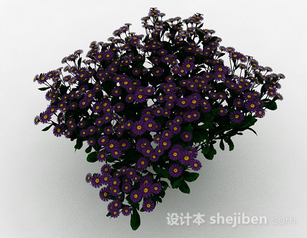 其它紫色花朵植物花卉3d模型下载
