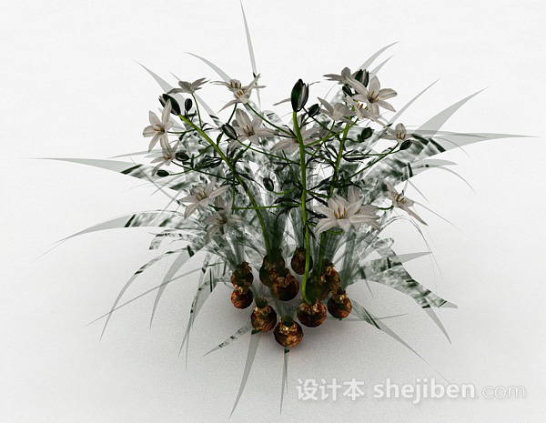 设计本祘科植物花卉3d模型下载