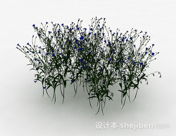 免费公园观赏型蓝色花朵花卉3d模型下载