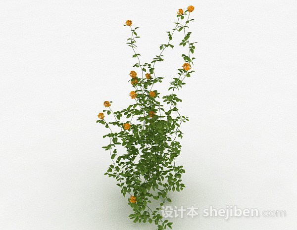 免费室外黄色花卉植物3d模型下载