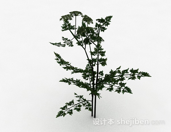 免费白色花朵植物3d模型下载