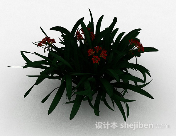 免费红色小花观赏植物3d模型下载