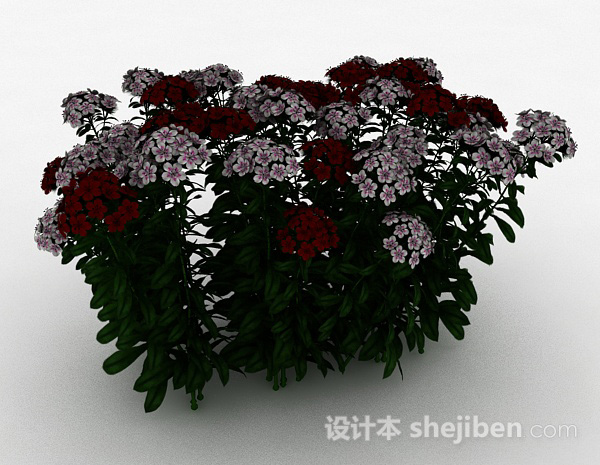 设计本双色小花观赏型植物3d模型下载