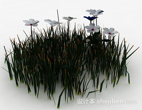 免费蓝白色花朵花丛3d模型下载