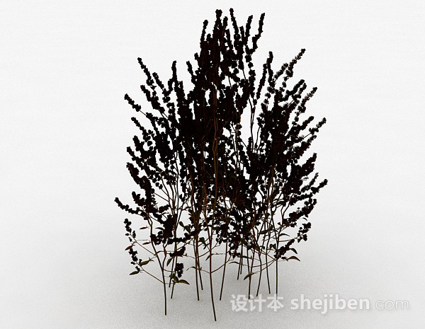 免费室外黑色植物3d模型下载