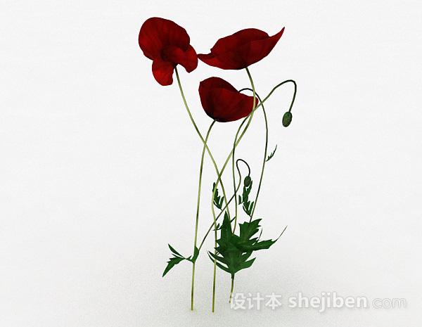 设计本精品红色花卉3d模型下载