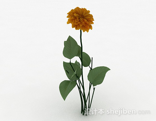 设计本黄色花卉植物3d模型下载