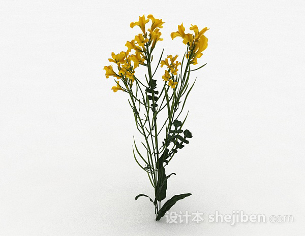 设计本黄色花朵植物3d模型下载