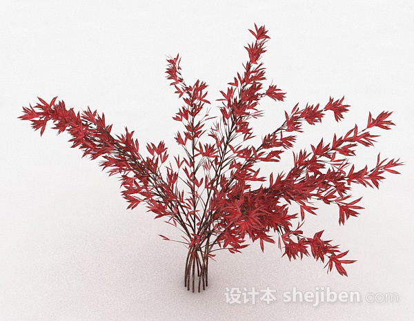 设计本红色树叶观赏型植物3d模型下载