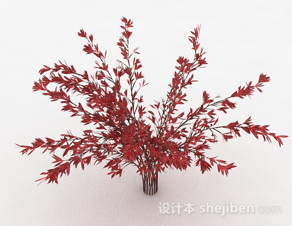设计本红色树叶观赏型植物3d模型下载