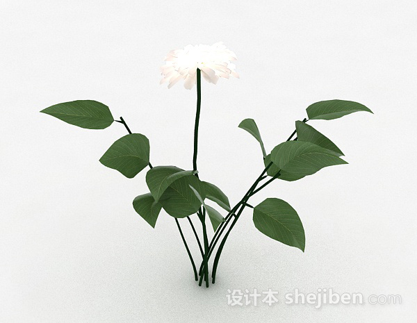 白色室外花卉植物3d模型下载