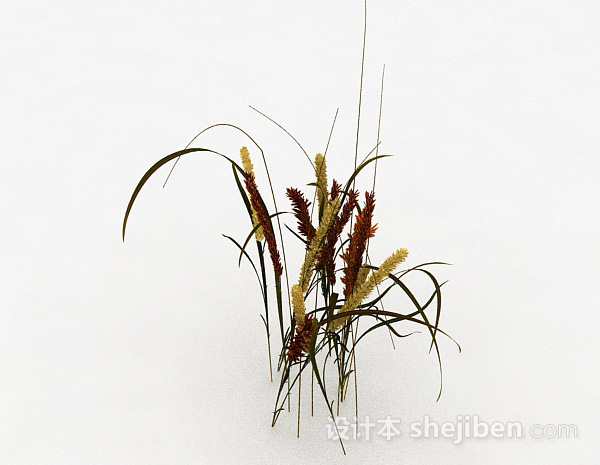 设计本棕色茅草植物3d模型下载