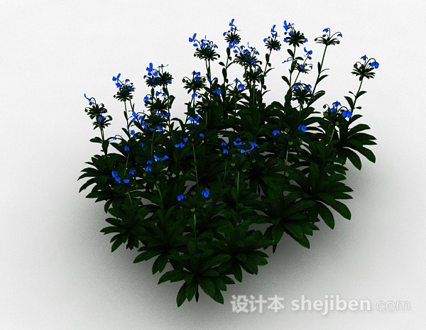 免费蓝色小花室外花丛3d模型下载