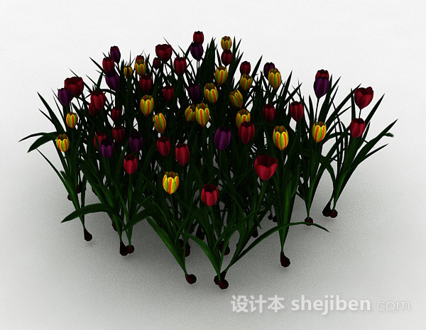 其它多色花朵观赏植物3d模型下载
