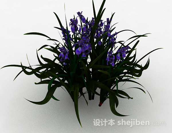 免费园林装饰型紫色花卉3d模型下载