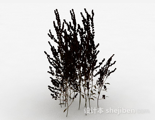 室外黑色植物3d模型下载