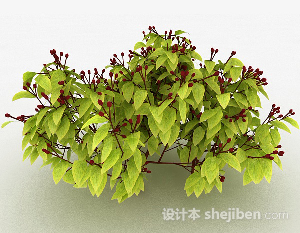 其它浅绿色树叶植物3d模型下载