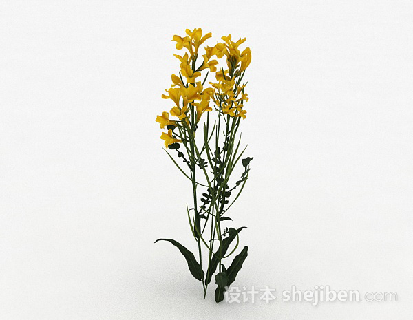 免费黄色花朵植物3d模型下载