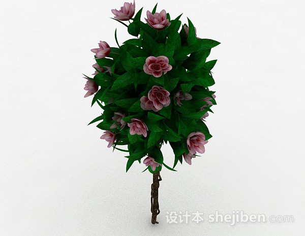 设计本室外植物花卉3d模型下载