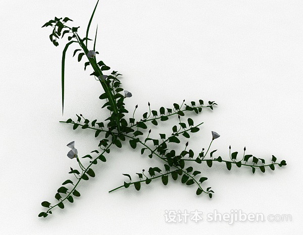 其它整株喇叭花植物3d模型下载