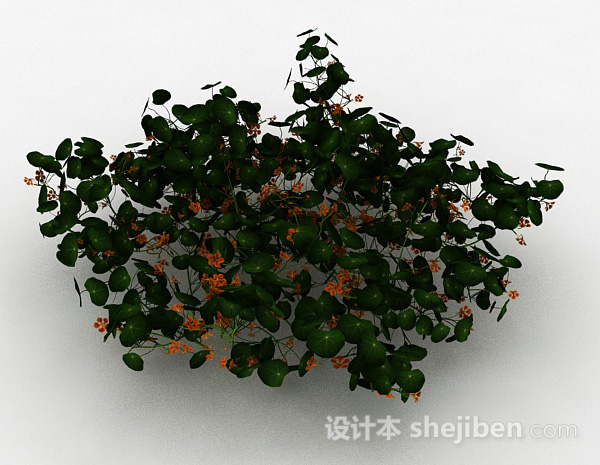 免费橙色小花观赏型花丛3d模型下载
