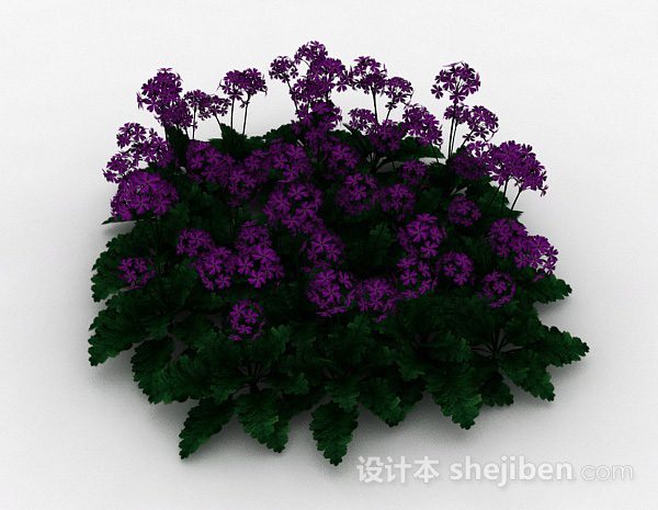 设计本园林紫色花朵观赏花卉3d模型下载
