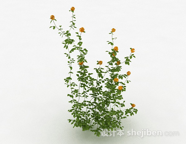 室外黄色花卉植物3d模型下载