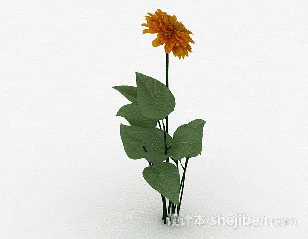 免费黄色花卉植物3d模型下载