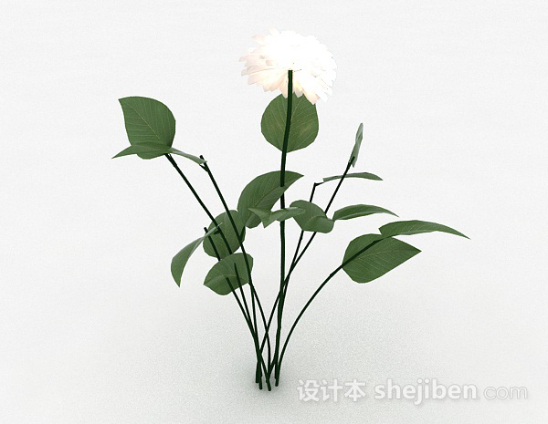 现代风格白色花卉植物3d模型下载