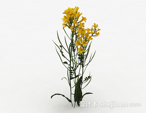 其它黄色花朵植物3d模型下载