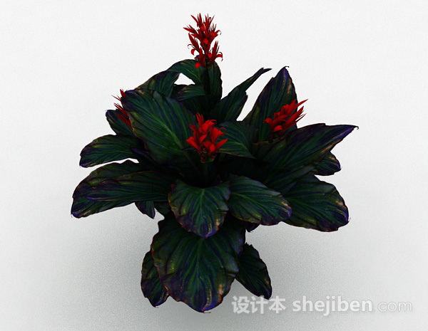 其它红花绿叶观赏型花卉3d模型下载
