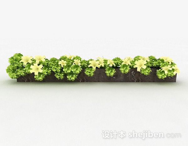 其它米白色花朵观赏植物3d模型下载