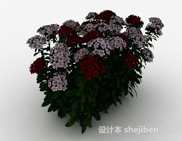 免费双色小花观赏型植物3d模型下载