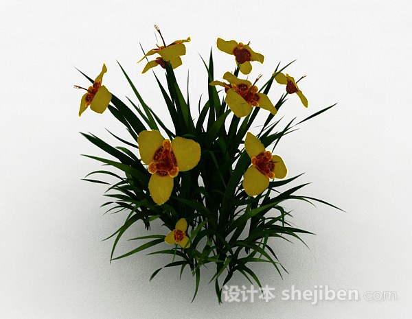 其它黄色花朵观赏花卉3d模型下载