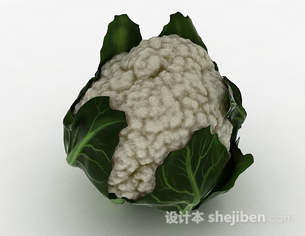 白色花包菜3d模型下载