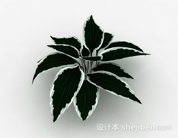 绿底白边叶子植物3d模型下载