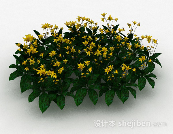 免费黄花观赏植物3d模型下载