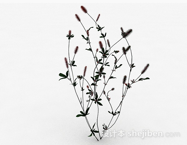 设计本红色马尾草植物3d模型下载
