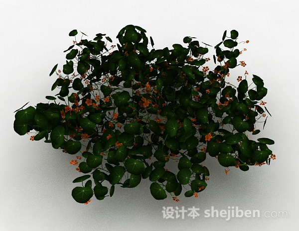 橙色小花观赏型花丛3d模型下载