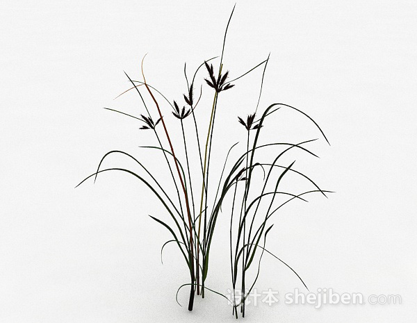 其它室外装饰植物3d模型下载