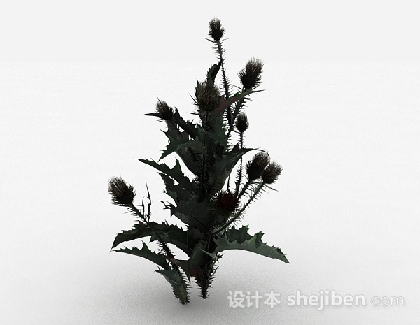 设计本多刺叶子植物3d模型下载