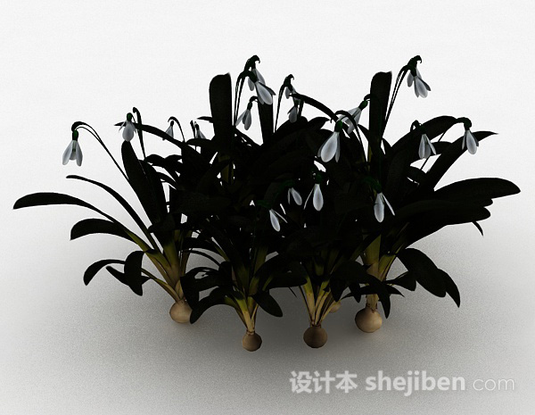 祘科水生植物3d模型下载
