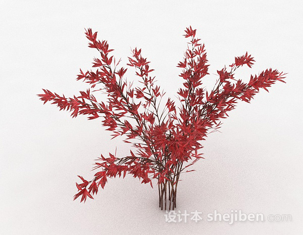 其它红色树叶观赏型植物3d模型下载