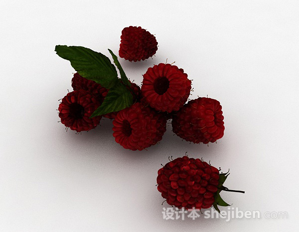 其它树莓3d模型下载