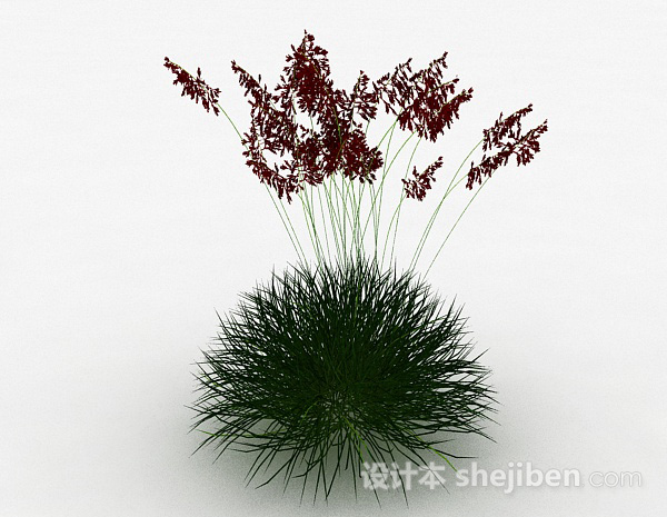 其它红色草穗植物3d模型下载