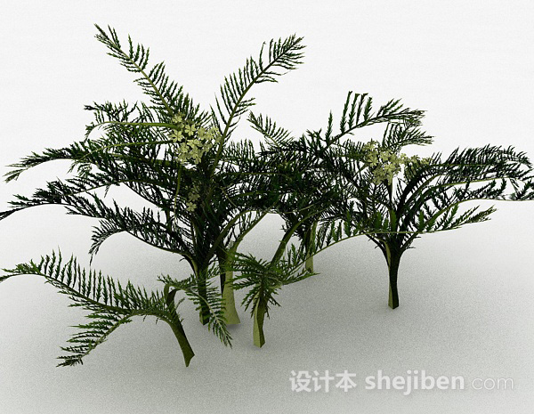 设计本细叶装饰花卉植物3d模型下载