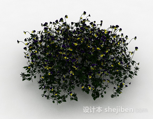 黄紫双色小花观赏花卉3d模型下载