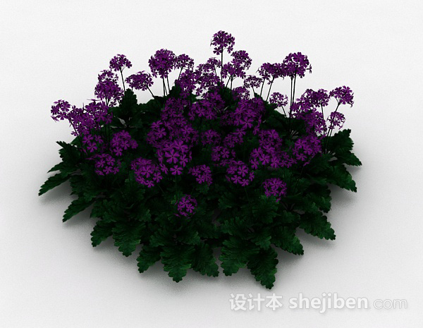 免费园林紫色花朵观赏花卉3d模型下载