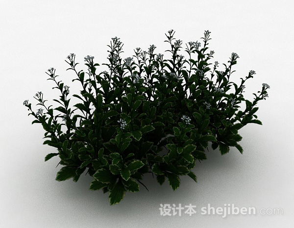 白色小花园林植物3d模型下载